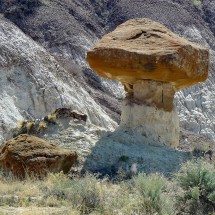 New Mexico